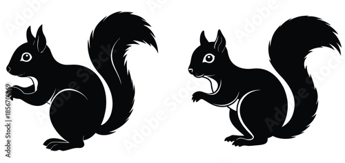 Cute Animal Squirrel Vector Illustration Coloring Book Page Art