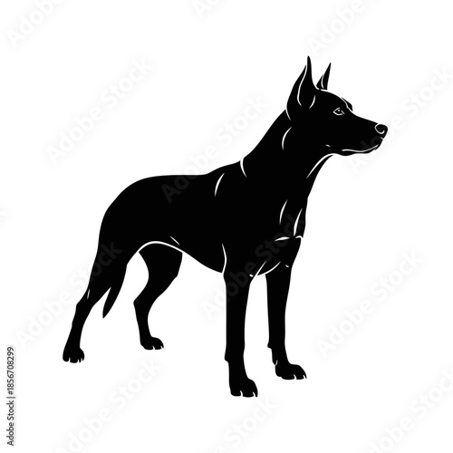 Majestic Doberman Pinscher standing proudly in sleek black silhouette