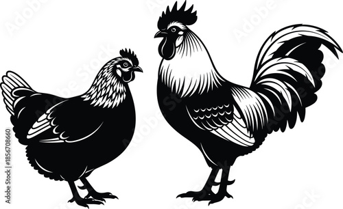 Black and white vector illustration of a rooster and hen standing together in a hand drawn vintage woodcut linocut style (20 words)