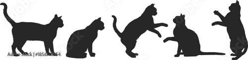 Black cat silhouettes in various poses including standing, sitting, pouncing, and playing, isolated on white background for creative design projects.