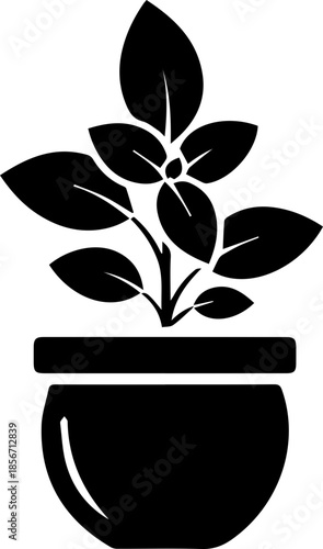 Bold black silhouette of a ripe tomato, perfect for culinary designs and healthy eating concepts