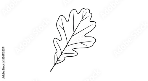A simple black and white line art illustration of an oak leaf, highlighting its distinctive lobed shape and clear venation.