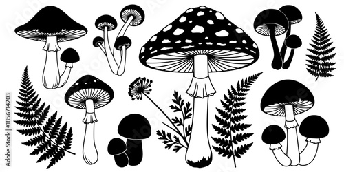 Cottagecore Mushroom Fern Forest Vector Silhouette