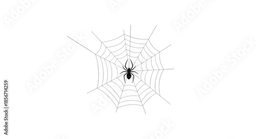 A classic black spider is perfectly centered on a finely spun, circular spiderweb, against a stark white background.