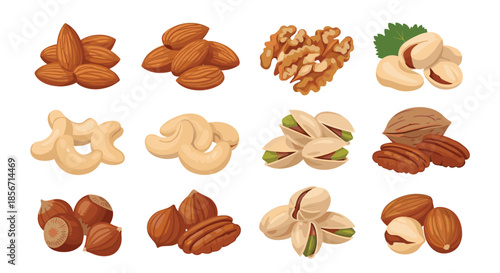 An appealing assortment of various healthy nuts like almonds, cashews, walnuts, pistachios, hazelnuts, and pecans, isolated on a white background.
