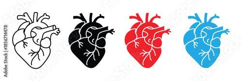 Human heart icon set. heart anatomy organ symbol. vector illustration