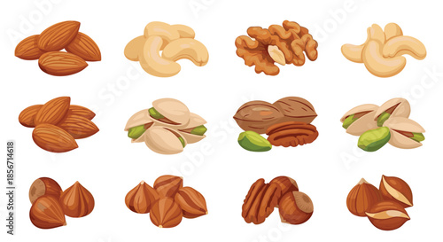 A vibrant assortment of raw and roasted nuts, featuring almonds, cashews, walnuts, pistachios, pecans, and hazelnuts, isolated on a white background.