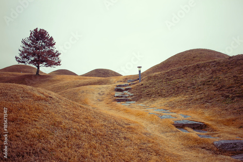 대구광역시 불로동 고분군