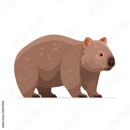 Wombat, 2D flat vector illustration, simple and modern style, isolated on a plain white background.