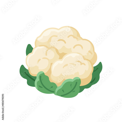 Cauliflower, modern 2D flat vector illustration in icon style, isolated on pure white background.