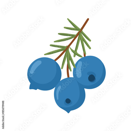 Juniper Berry in a clean 2D flat vector icon style, minimal and simple, set on a plain white background.