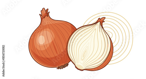 Natural brown onions shown as a whole vegetable next to a half cut onion revealing detailed internal layers and fresh white flesh.