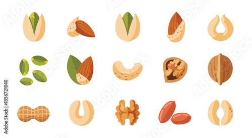 Comprehensive collection of various nuts and seeds including pistachios, almonds, cashews, walnuts, peanuts, and seeds.
