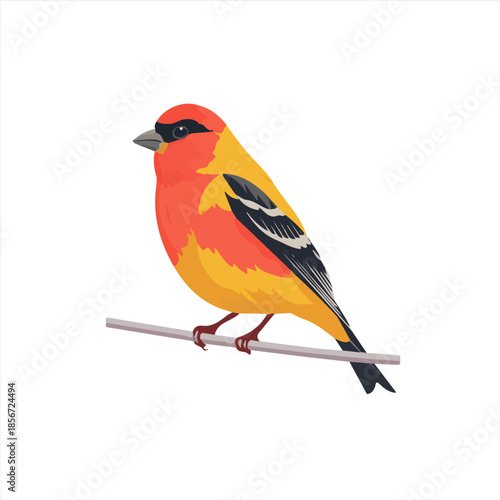 Finch, modern 2D flat vector illustration in icon style, isolated on pure white background.