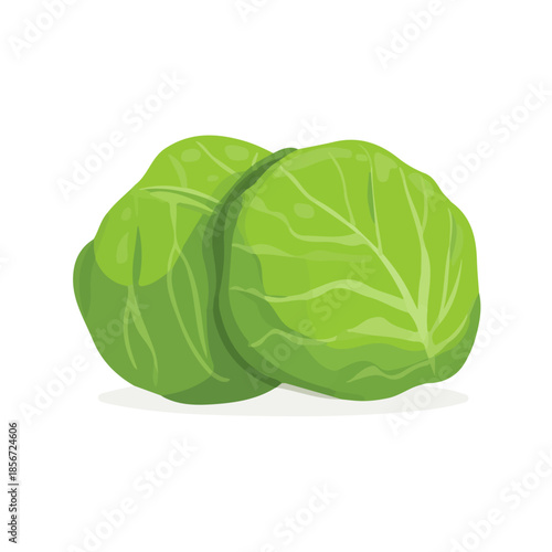 Flat 2D vector illustration of Cabbage Rolls, simple icon style on a clean white background.