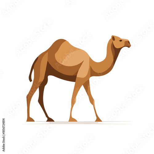 Simple flat 2D vector graphic of Camel, modern icon look, displayed on a pure white background.
