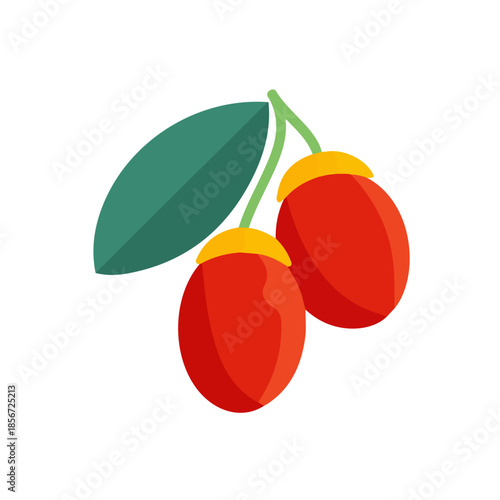 Simple flat 2D vector graphic of Miracle Fruit, modern icon look, displayed on a pure white background.
