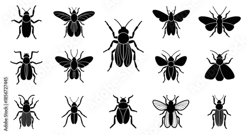 Stunning insect silhouettes in various poses, perfect for entomology projects, educational resources, and nature-themed designs needing dynamic illustrations