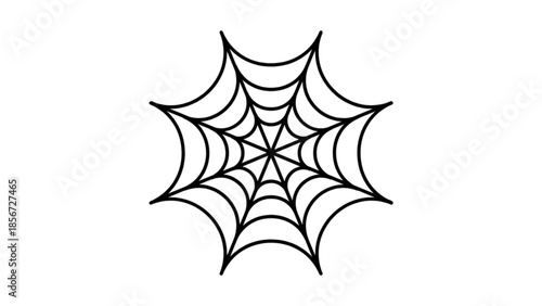 spider web vector illustration