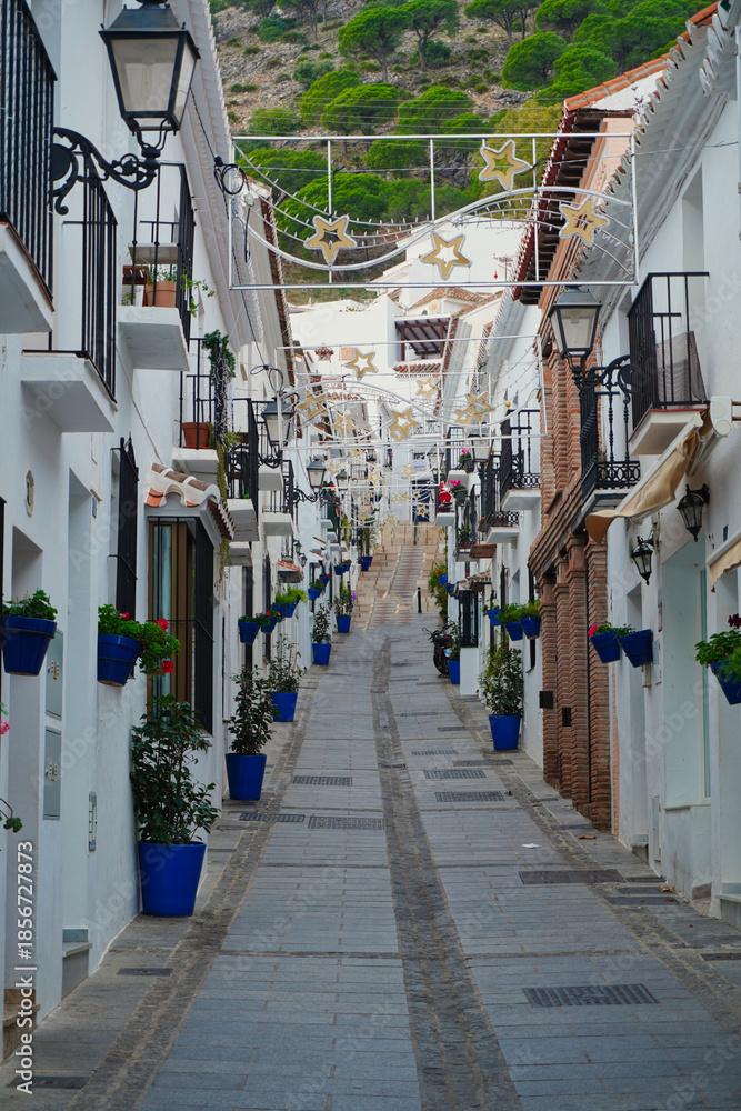 Obraz premium Charming Mediterranean street in Mijas, with whitewashed façades adorned with blue flower pots, wrought-iron window grilles, and lush plants that create a colorful and inviting traditional atmosphere