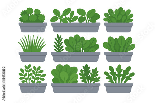 Vertical Garden with Various Plants in Pots