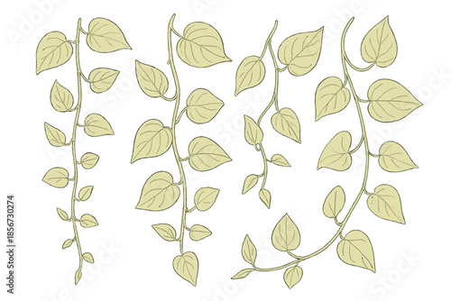 Golden Vines and Leaves Pattern Background