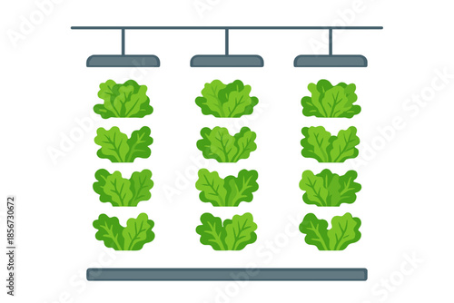 Vertical Hydroponic Farm with Grow Lights