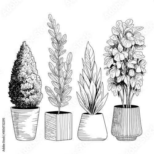 Black and white line art illustration of four uniquely shaped potted plants with intricate detailed foliage, set against a clean modern background, in a vintage botanical sketch style, with varying st