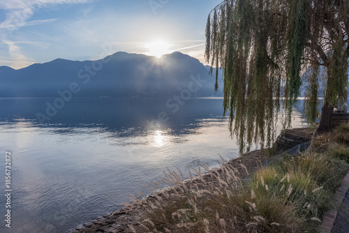 Autumn sunrise on Lugano Lake, with rising sun behind mountains and reflections on the water. Beautiful willow on the shore. Lugano, Ticino, Switzerland