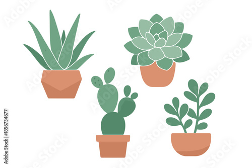 Cute Glowing Succulents and Cacti in Pots