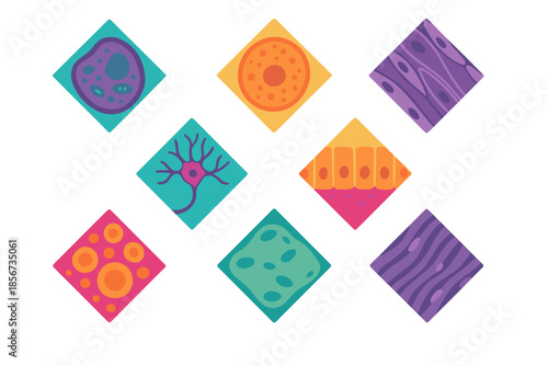 Abstract biological cell types and tissues