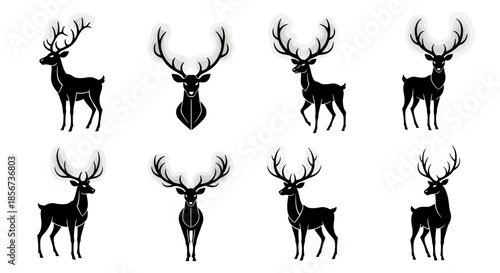 A professional businesswoman works diligently on her laptop in a modern bright office space