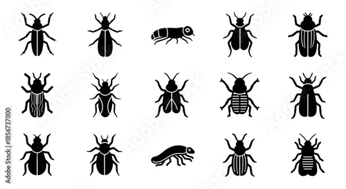 A professional businesswoman works diligently on her laptop in a modern bright office space