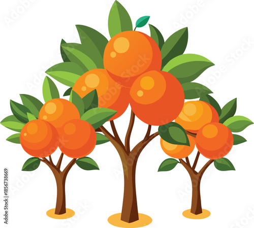 Orange trees isolated on white transparent background 
