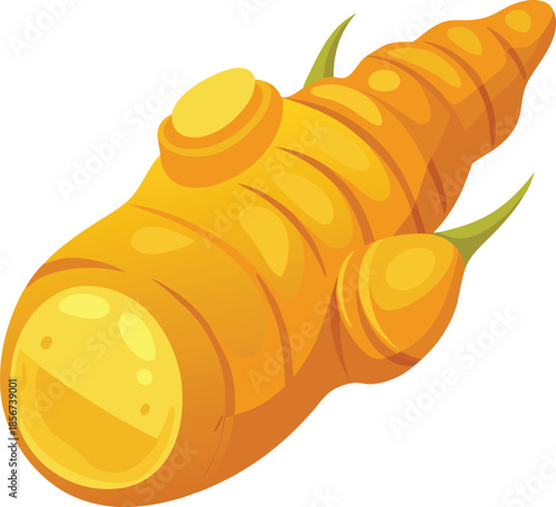  Turmeric tuber isolated on transparent white background 2