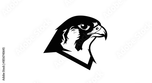 Eagle head profile with transparent background