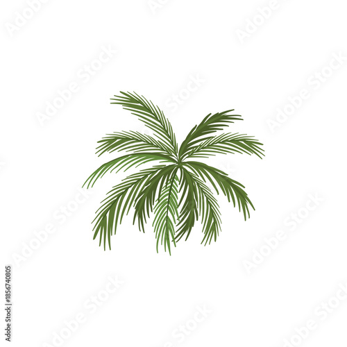palm tree leaves vector
