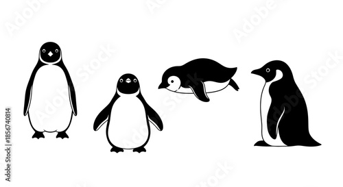 Penguin poses collection with transparent background