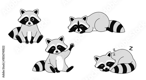 Raccoons in various poses with transparent background