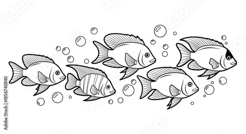 School of fish swimming with bubbles