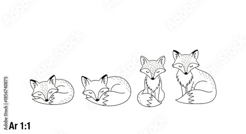 Sleeping foxes in curled poses with transparent background