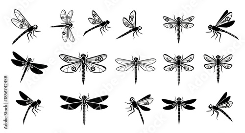 Captivating collection of diverse black dragonfly silhouettes offering elegant design elements for creative projects and natural motifs