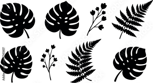Tropical leaves and fern silhouettes vector set with botanical elements for design and decoration purposes