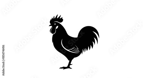 Black silhouette of a rooster standing.