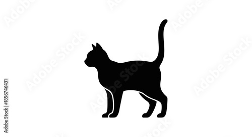 Black silhouette of a standing cat.