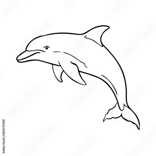 Dolphin sketch shows graceful marine mammal in simple black line art. Contour pencil art illustration depicts elegant aquatic creature, offering clean dolphin sketch. Ideal for educational resources.
