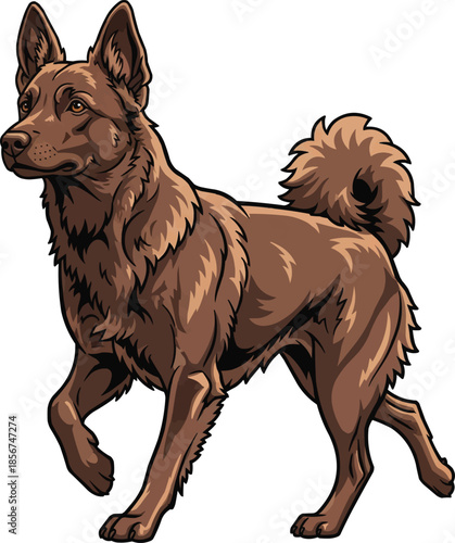 Mudi dog walking alert focused attentive movement 