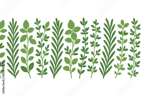 Green botanical border with glowing effect