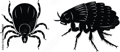 Black and white vector silhouette illustration of a parasitic tick and flea isolated on white background, blood sucking insect pests icons set