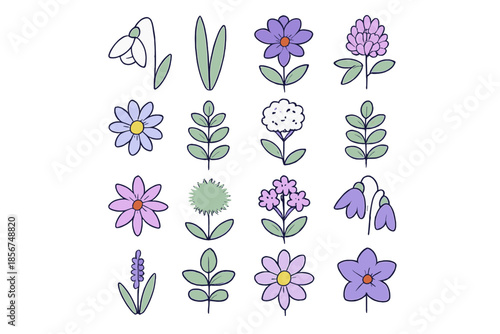 Collection of 16 Spring Flowers and Leaves